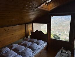 Pet-friendly Chalet in Veysonnaz