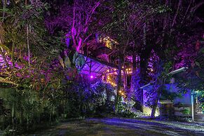 Casa del Arbol