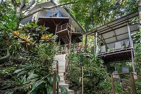 Casa del Arbol