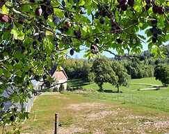 Sugar Farm Weideblick