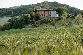 azienda agricola pandolfa