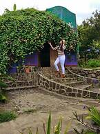 Finca Neblina del Bosque