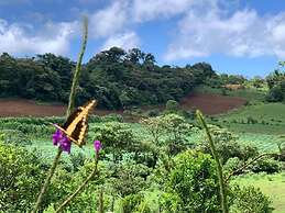 Finca Neblina del Bosque