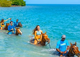 Sunshine Seashore Escape Jamaica