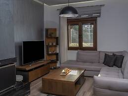 D A New Luxury Villa With Private Pool