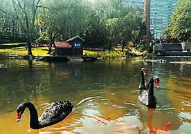 Tyms High Serviced Residence Shanghai Stadium Metro
