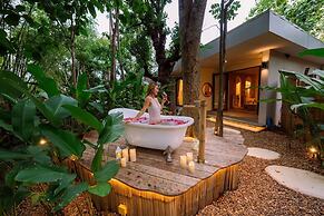 Hatchu khaoyai
