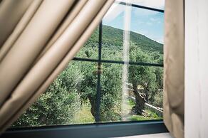 MASHTRA - The Olive House