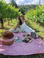 Private Douro - Quinta das Susandas