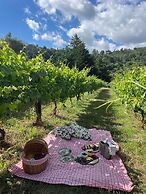Private Douro - Quinta das Susandas