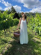 Private Douro - Quinta das Susandas