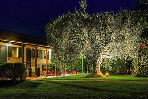 Ghiaccio Bosco Capalbio