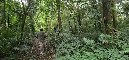 Pondok Wisata Noah