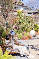 Lijiang Fog Gallery Hotel