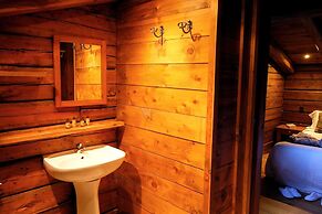 Chalet in La Tania Near Ski Slopes