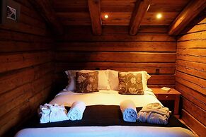 Chalet in La Tania Near Ski Slopes