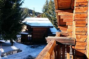 Chalet in La Tania Near Ski Slopes