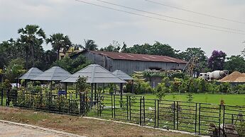 BALAJI HOTEL AND RESTAURANT