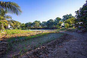 ELIVAAS Cows & Cuddles 4 BHK