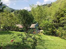 Hotel Selva Cristal