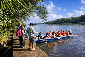 Ilan Ilan tortuguero