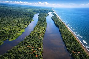 Ilan Ilan tortuguero
