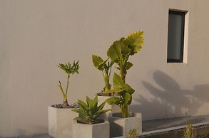 LIVA Departamento 2 Recámaras y Alberca