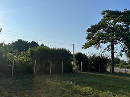 Gite du pin
