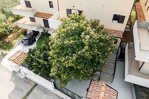 Il Castagno