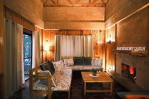 Blueridge Mountain Cabin