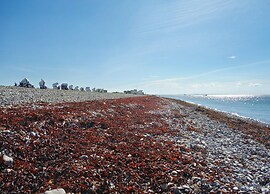 Ferienhaus Kleine Freiheit auf Fehmarn