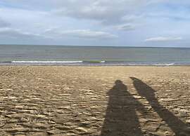 Steps From the Quiet Seaside Path