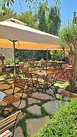 Feli Eski Datca Adult Only +9