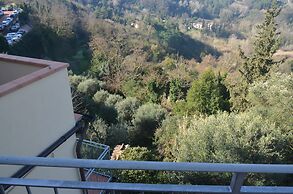 DomuS Miniato