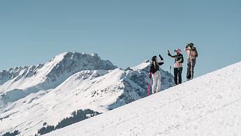 Panorama Chalets by we rent