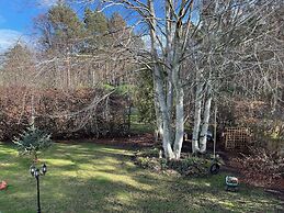 Copper Beeches