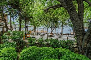 Orkide Bodrum
