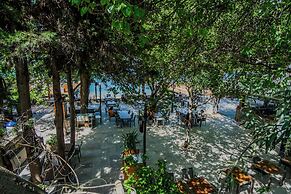 Orkide Bodrum