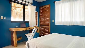 Punta Dreams