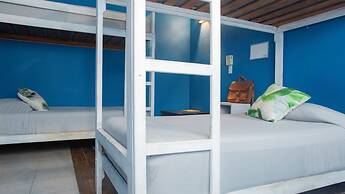 Punta Dreams