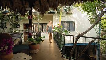 Punta Dreams