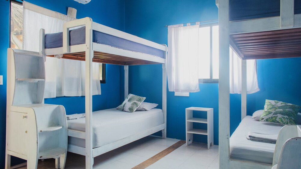 Punta Dreams