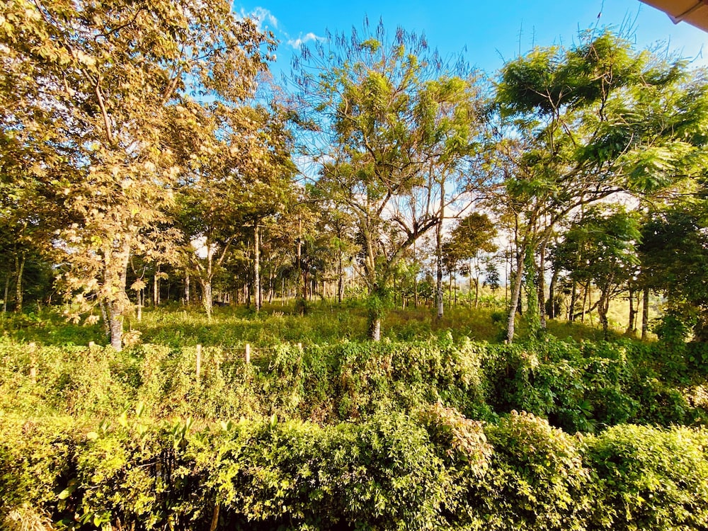 Finca Hotel Resplandor Quindiano