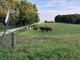 4 Star Holiday Home in Ronde