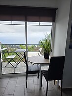 Ocean Heated Pool Jacuzzi View Gray