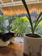 White Coconut Resort
