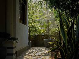 Ceylon Vista