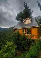 Swastika aashiyana tree house