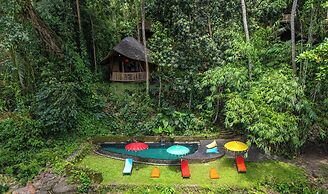 Bamboo Turtle Ecolodge