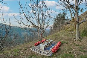The Bagh Kufri